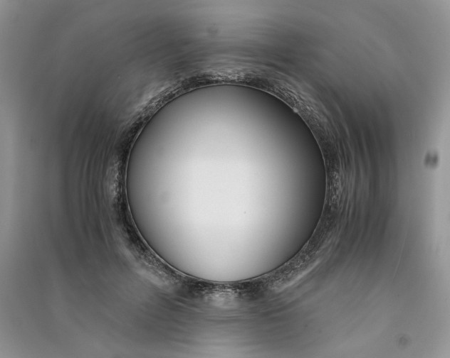 X0000090600600200708141332