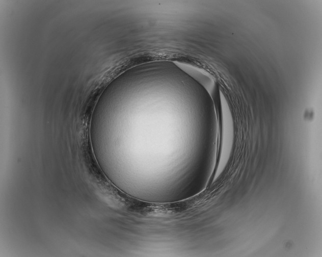 X0000090600601200708141332