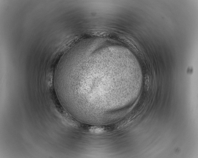 X0000090600602200708141332