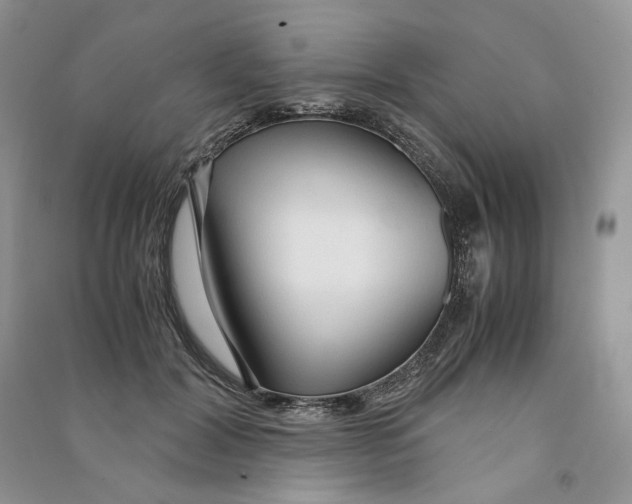 X0000090600604200708141332