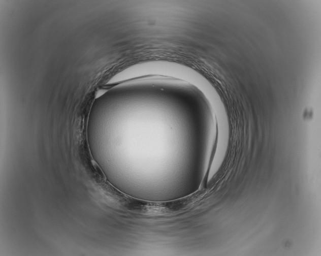 X0000090600605200708141332