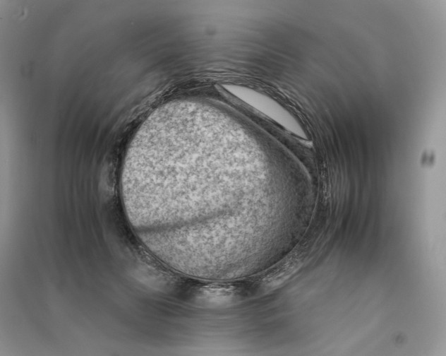 X0000090600606200708141332