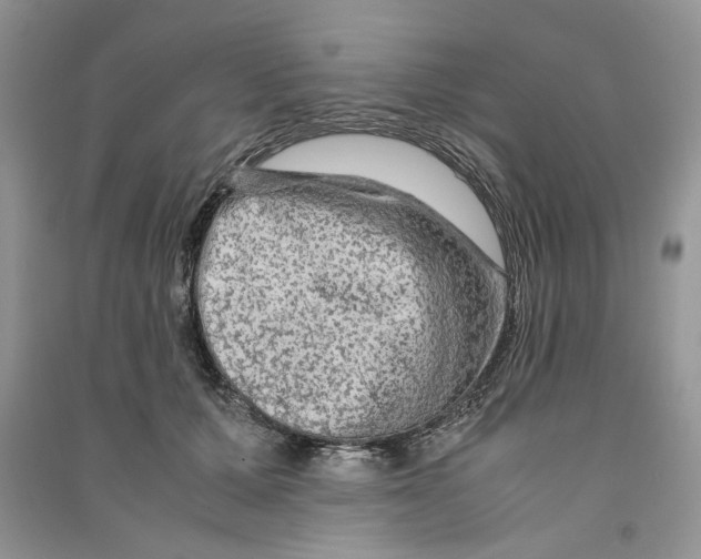 X0000090600607200708141332