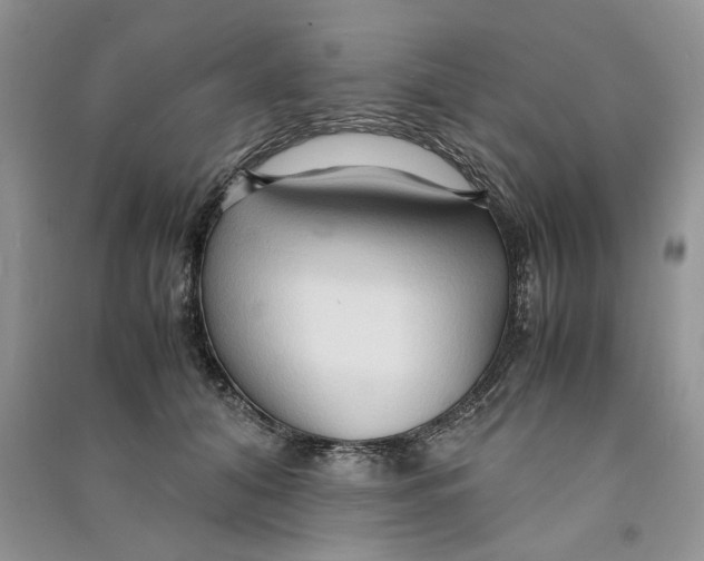 X0000090600608200708141332