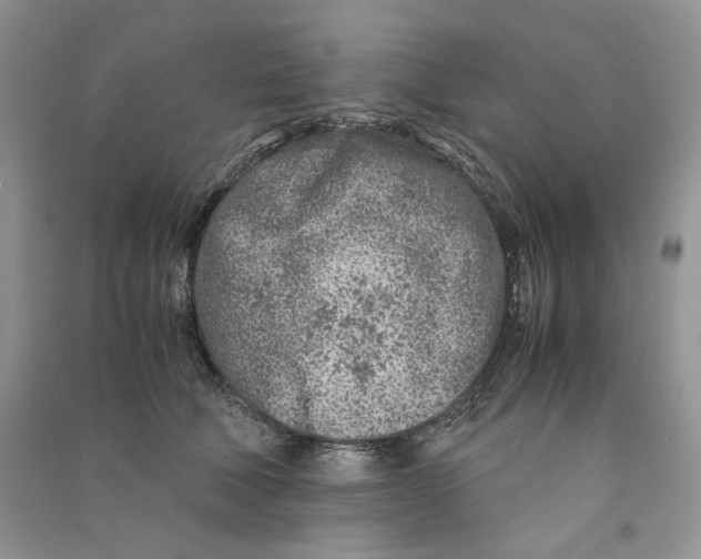 X0000090600610200708141332