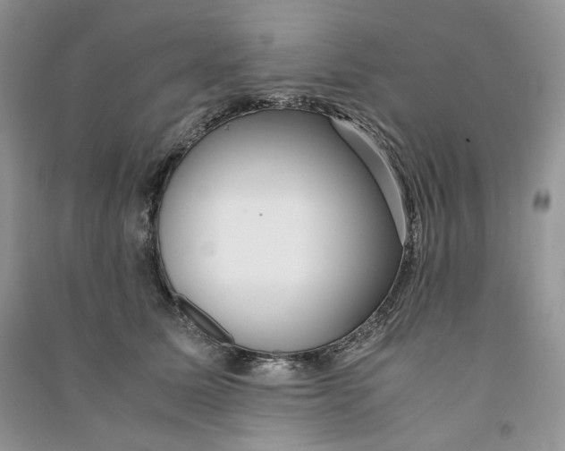 X0000090600611200708141332