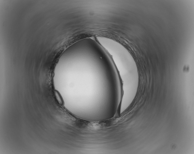 X0000090600613200708141332