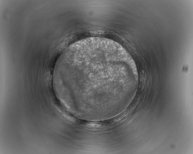 X0000090600614200708141332