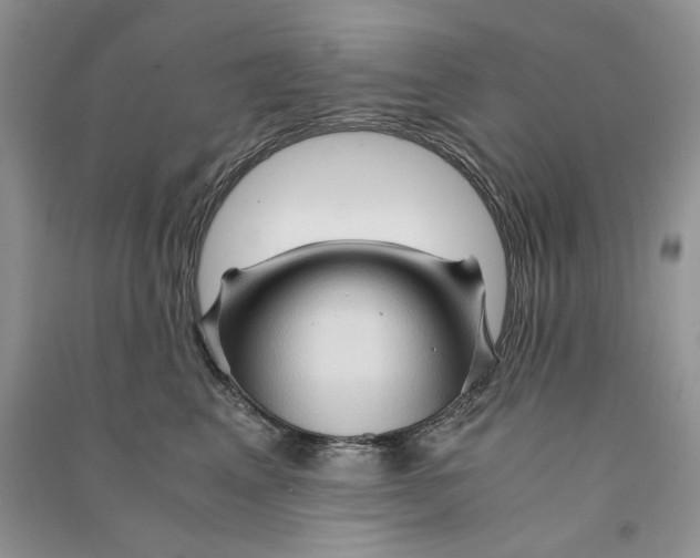 X0000090600617200708141332