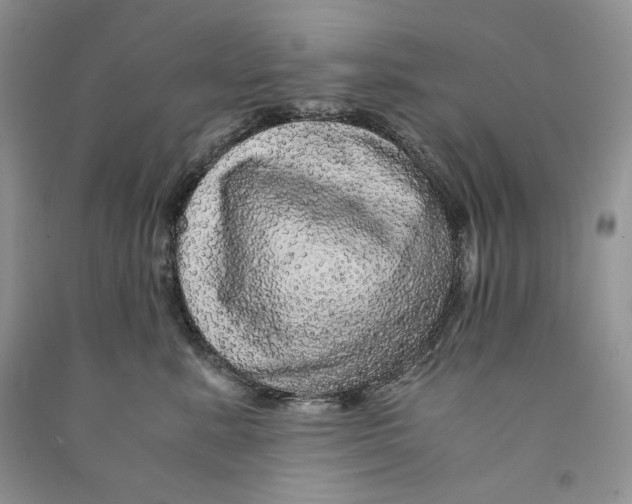 X0000090600619200708141332