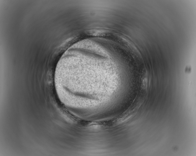 X0000090600620200708141332