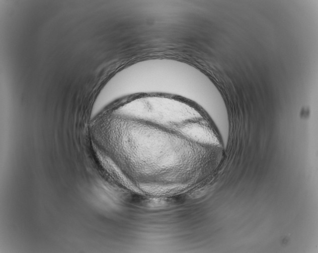 X0000090600623200708141332