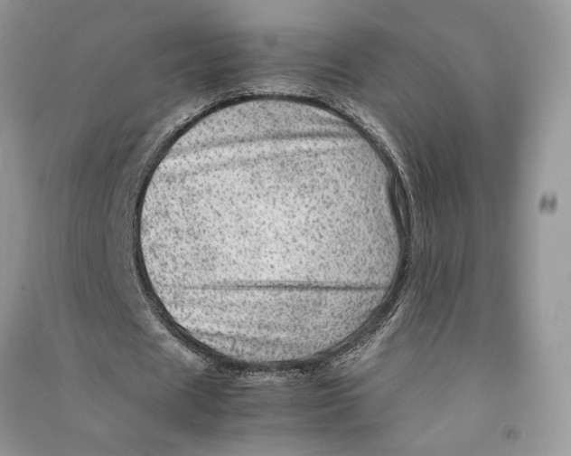 X0000090600625200708141331