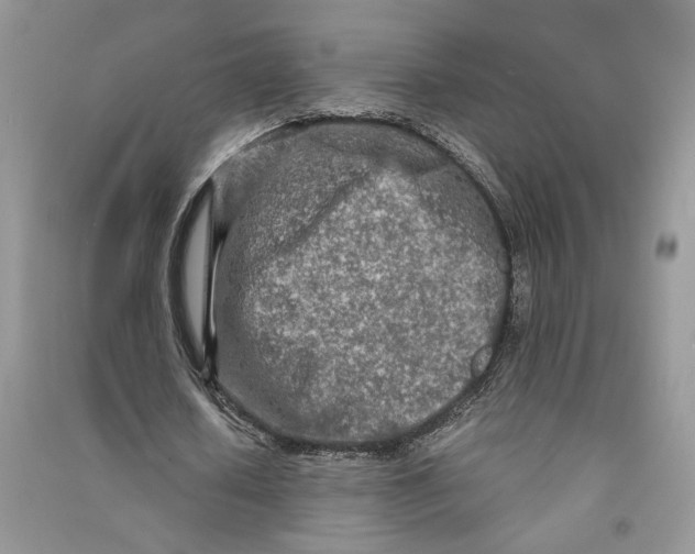 X0000090600626200708141331