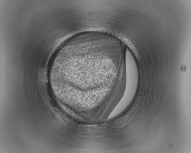 X0000090600628200708141331