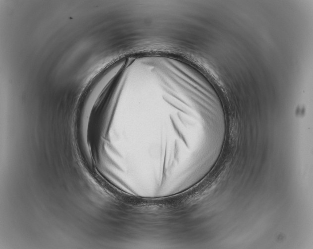 X0000090600629200708141331