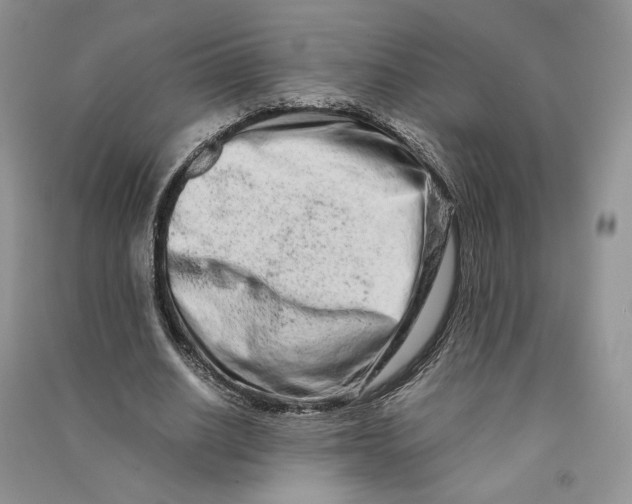 X0000090600630200708141331