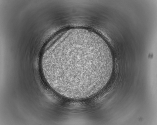 X0000090600631200708141331