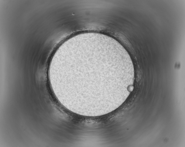 X0000090600632200708141331