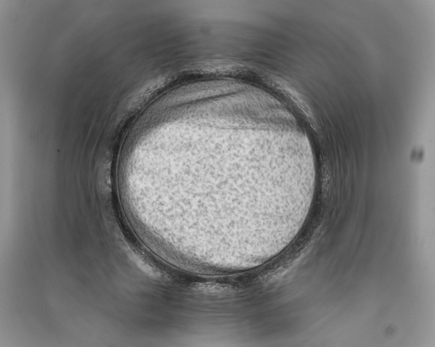 X0000090600633200708141331