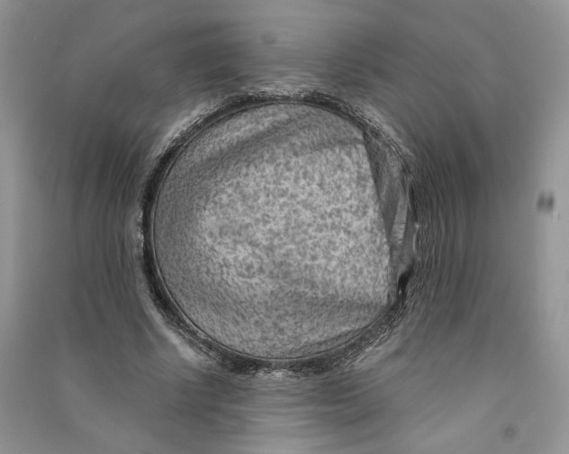 X0000090600634200708141331