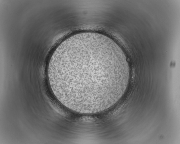 X0000090600636200708141331