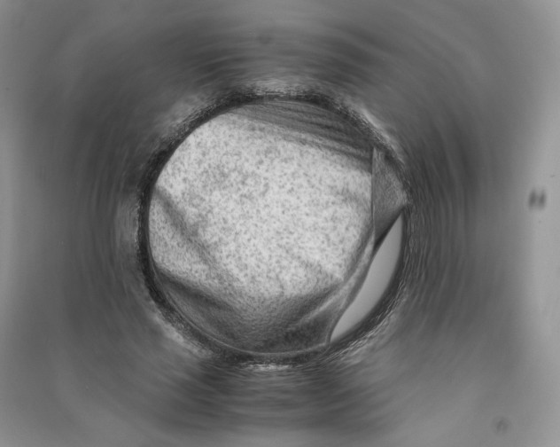 X0000090600637200708141331