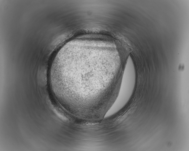 X0000090600638200708141331