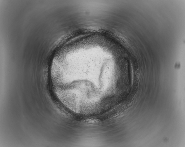 X0000090600642200708141332