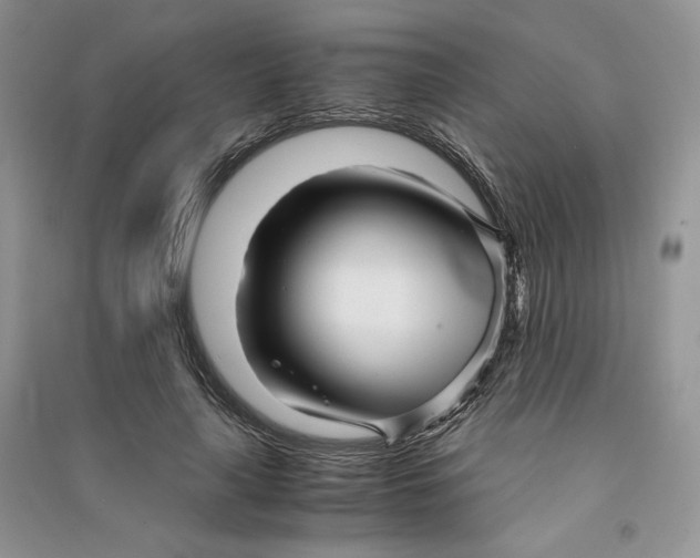 X0000090600643200708141332