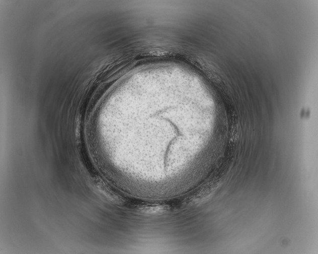 X0000090600646200708141332