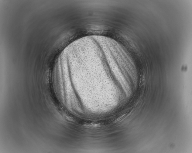 X0000090600647200708141332