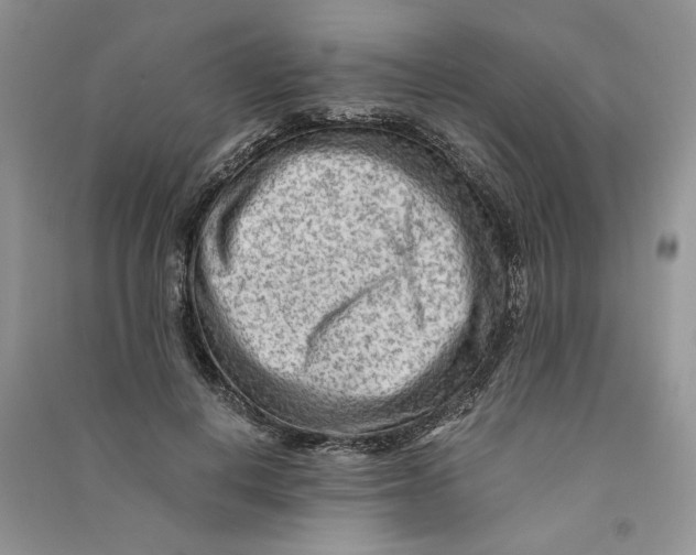 X0000090600648200708141332