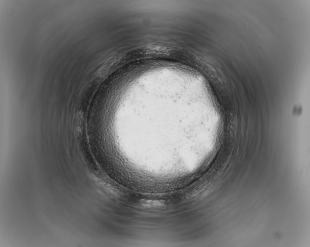 X0000090600649200708141332