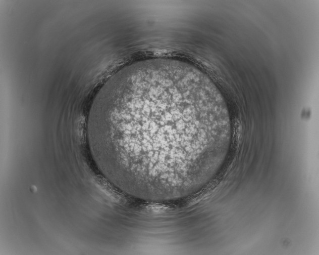 X0000090600650200708141332