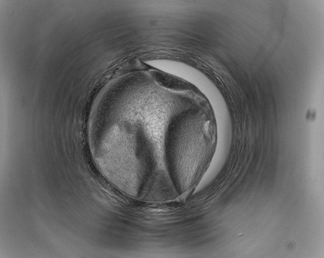 X0000090600653200708141332