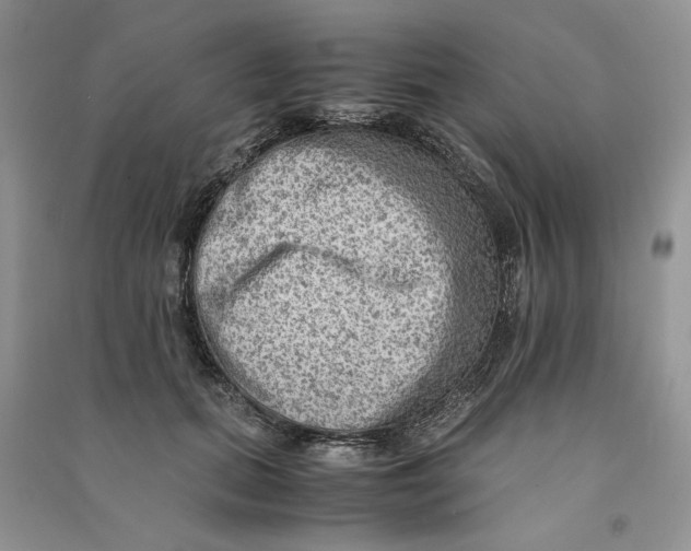 X0000090600655200708141332