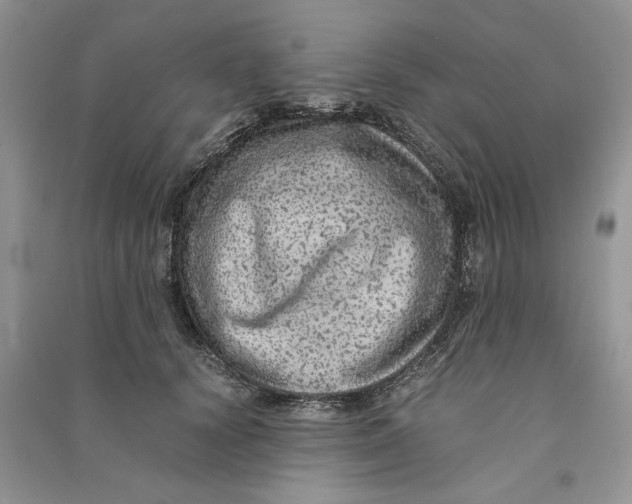 X0000090600656200708141332