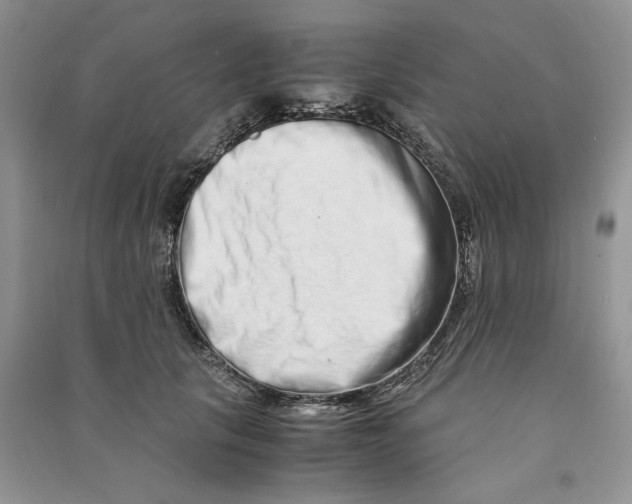 X0000090600657200708141332