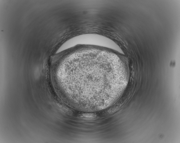 X0000090600659200708141332