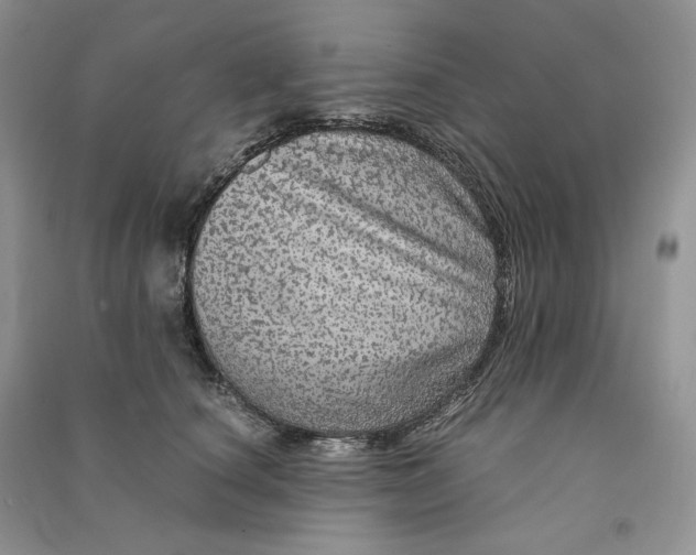 X0000090600660200708141332