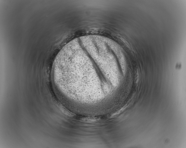 X0000090600661200708141332