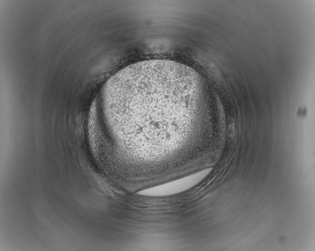 X0000090600662200708141332