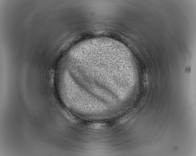 X0000090600664200708141332