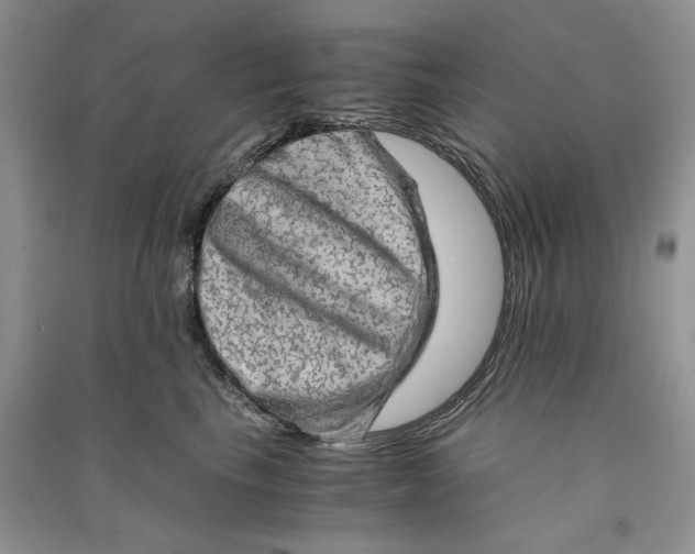 X0000090600665200708141332