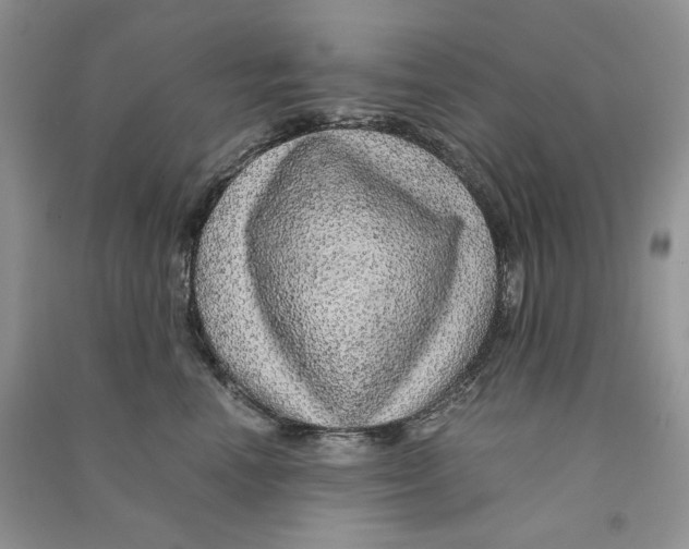 X0000090600666200708141332