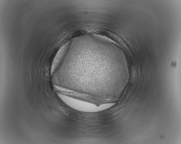 X0000090600667200708141332