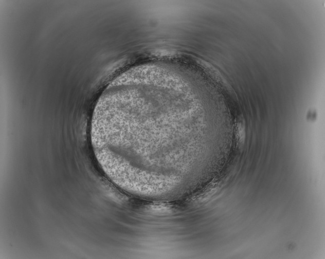 X0000090600668200708141332