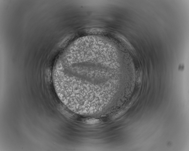 X0000090600669200708141332