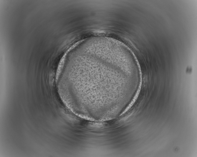 X0000090600671200708141332